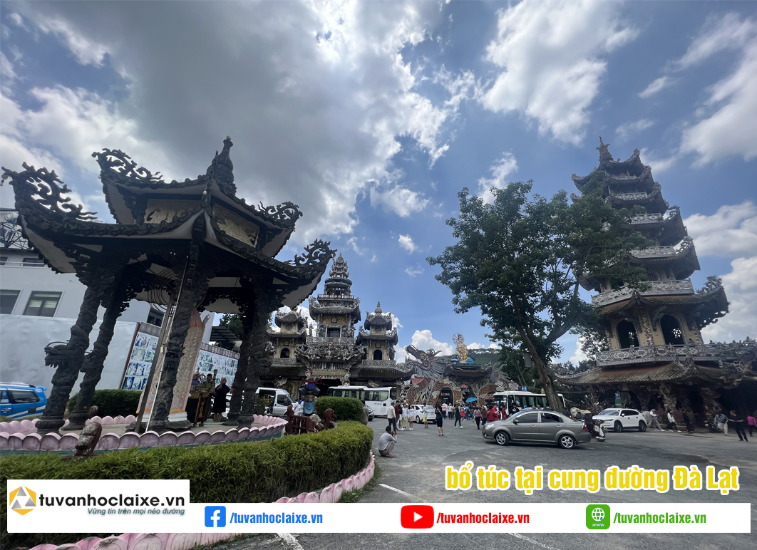 Dịch vu bổ túc tay lái sau khi có bằng